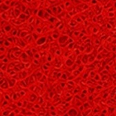 Color 5